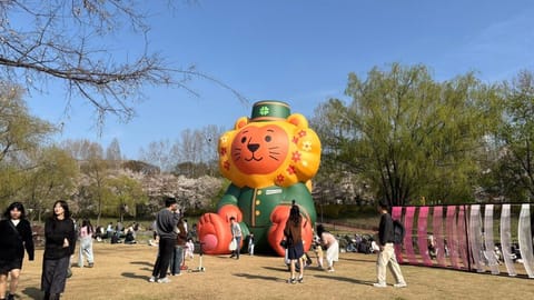 양재아트살롱